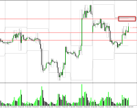 New York Market March 4th 2014 – What Can You Expect?