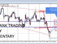 Bearish Pressure On The Euro Rise Amid Negative Service And Manufacturing Data Release.(25th-30th nov)